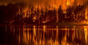 пожар Смоленск мчс лес