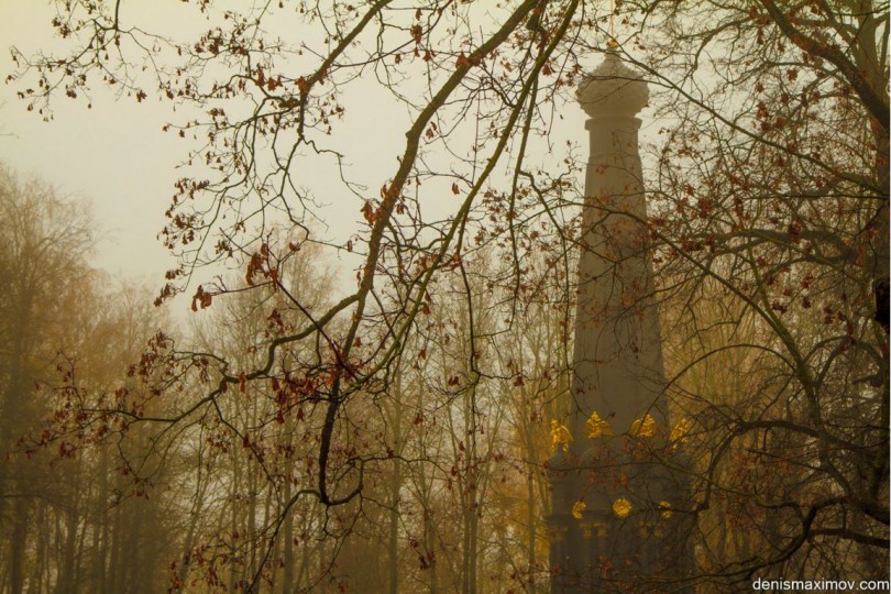 осень туман Максимов Смоленск