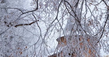 зима снег иней 2016 мороз фото Максимов Денис