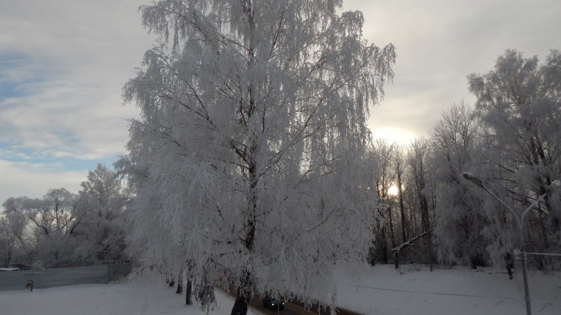 зима Смоленск