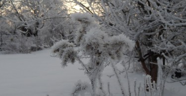 зима в Смоленске