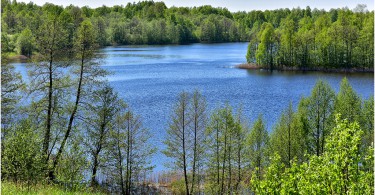 13 мая 2016 г., озеро Ржавец, д.Городище, Демидовский район.. Фотограф: Геннадий Дубино