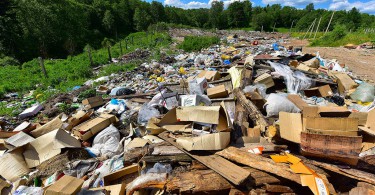 19 июня 2016 г. Пржевальская мусорная свалка.