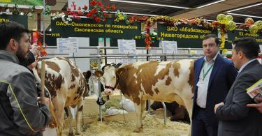 губернатор смоленской области принял участие в сельхоз выставке в москве