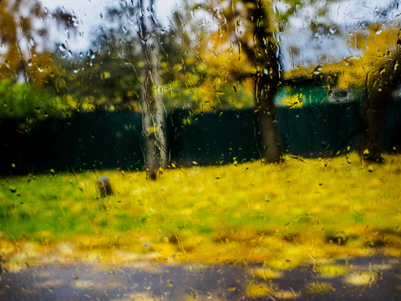 осень, дождь