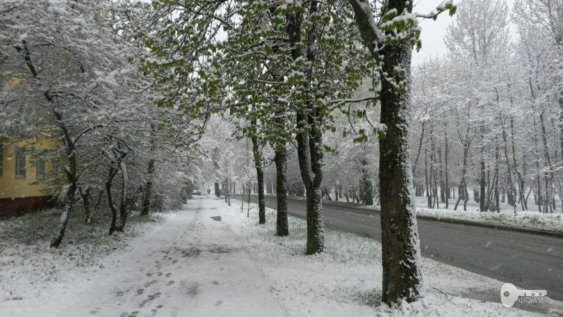 снегопад в Смоленске, май