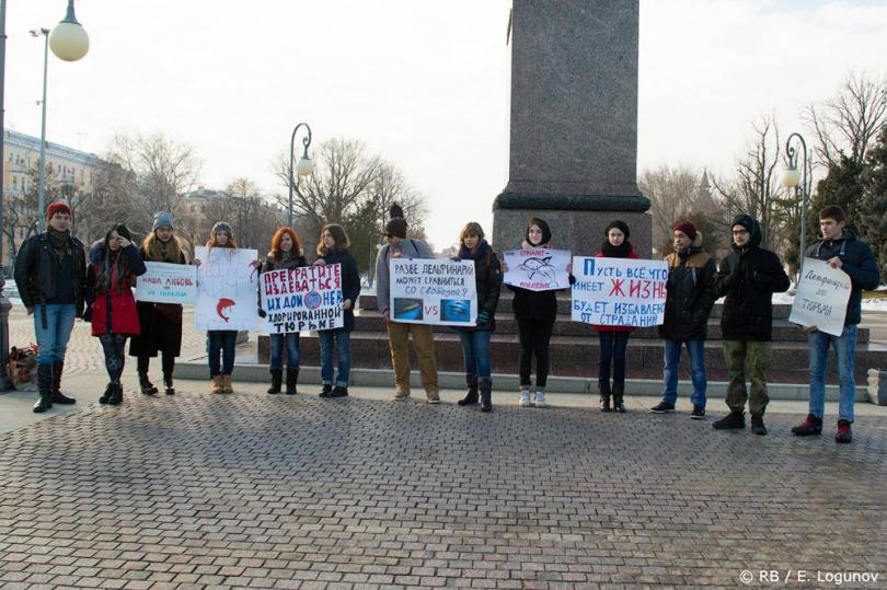 пикет против переездных дельфинариев в Смоленске