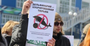пикет против переездных дельфинариев в Смоленске