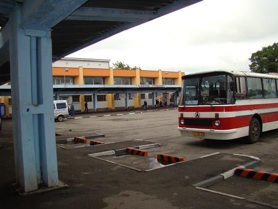 автовокзал автобус Смоленск